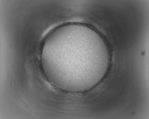 X0000113641400200910021905