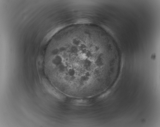 X0000113641401200910021905