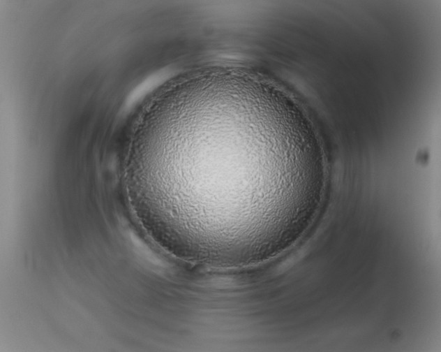 X0000113641402200910021905