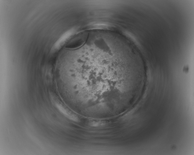 X0000113641403200910021905