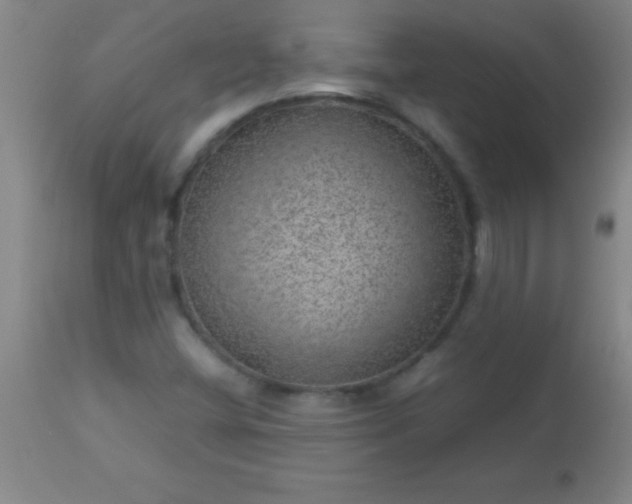 X0000113641404200910021905