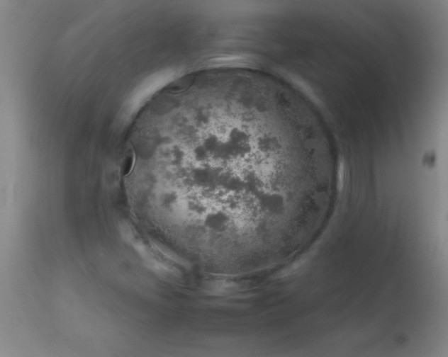 X0000113641405200910021905