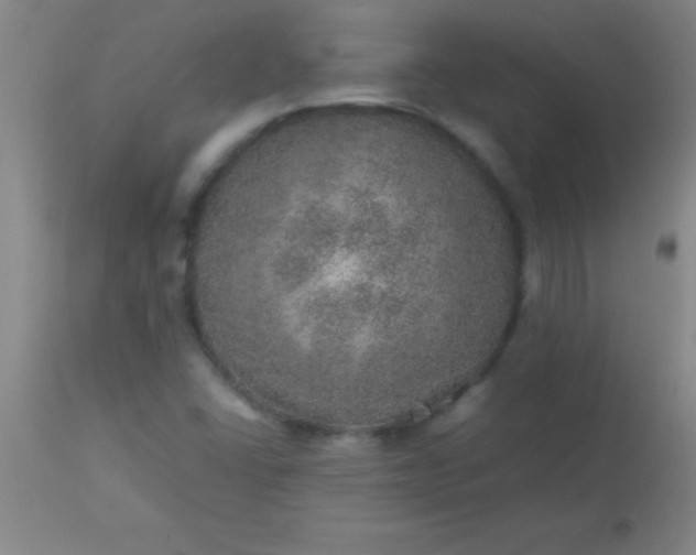 X0000113641406200910021905