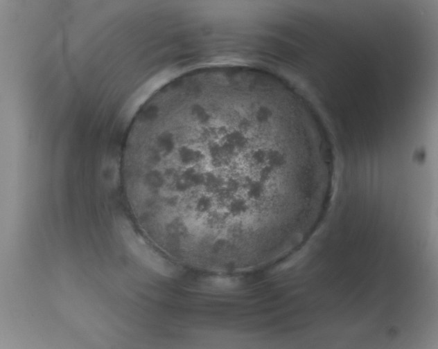 X0000113641409200910021905