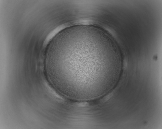 X0000113641410200910021905