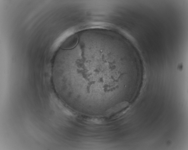 X0000113641411200910021905