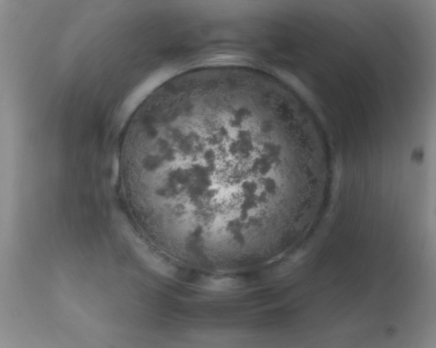 X0000113641413200910021905