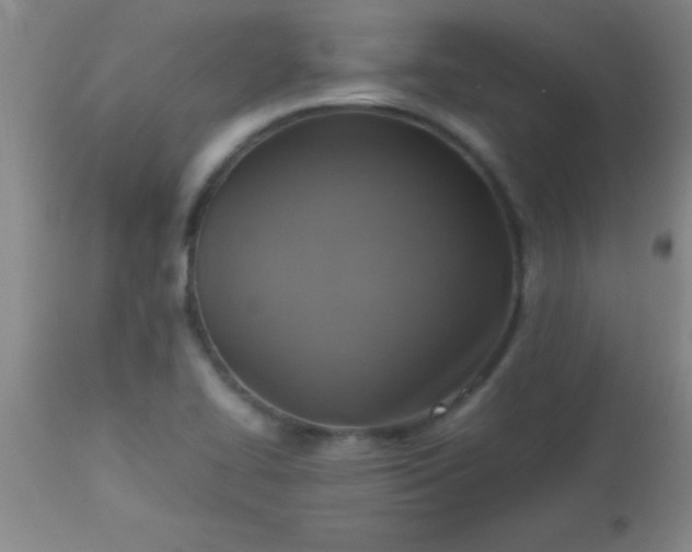 X0000113641414200910021905