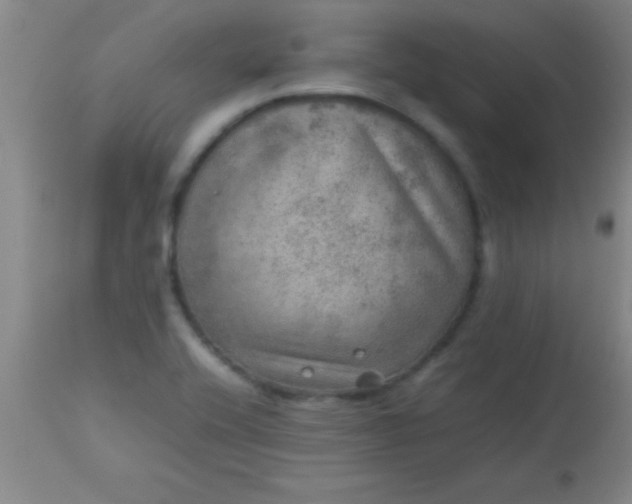 X0000113641416200910021905