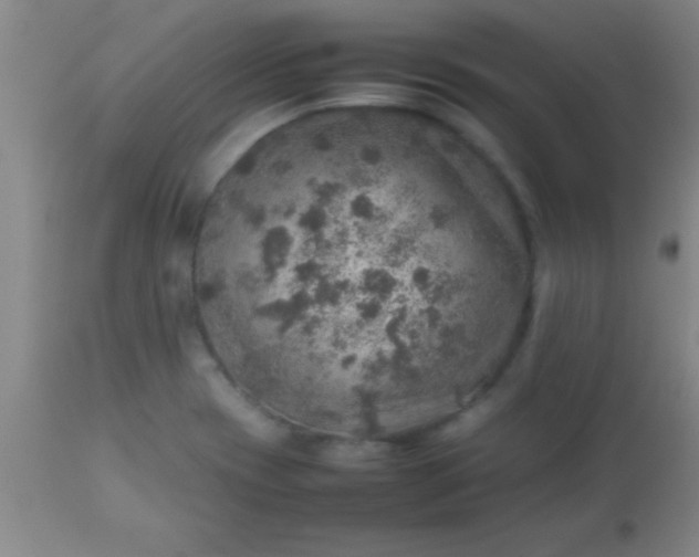 X0000113641417200910021905