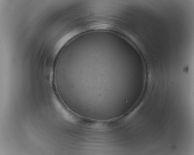 X0000113641418200910021905