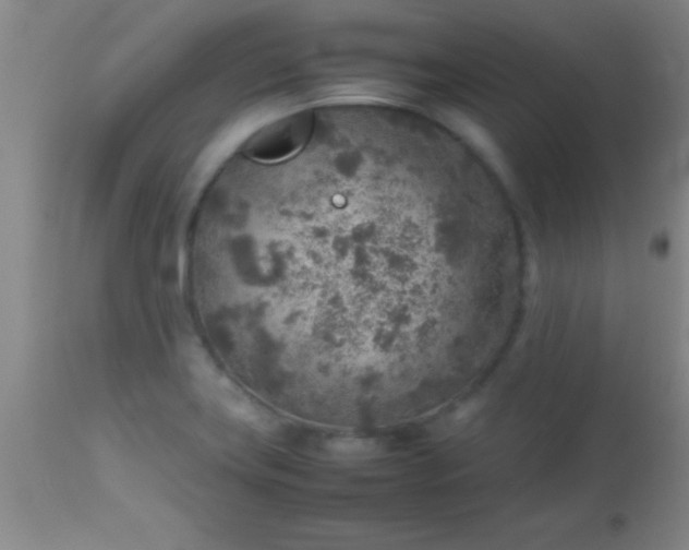 X0000113641419200910021905