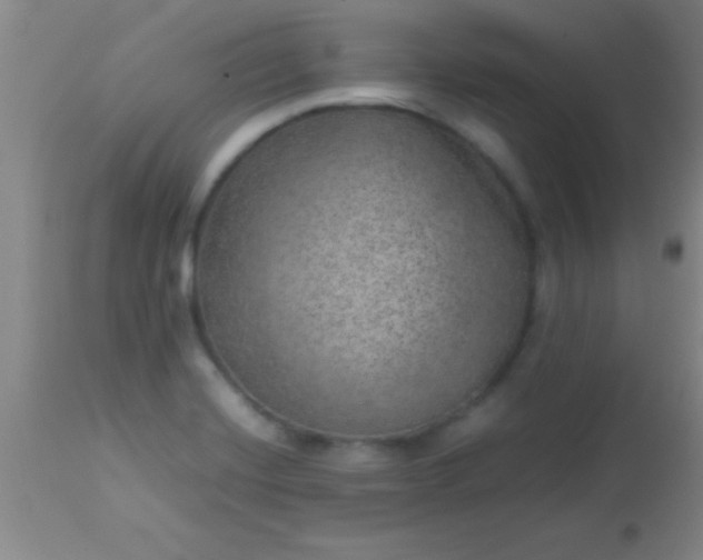 X0000113641420200910021905