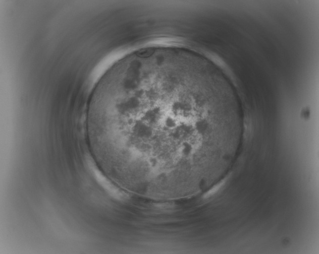 X0000113641421200910021905