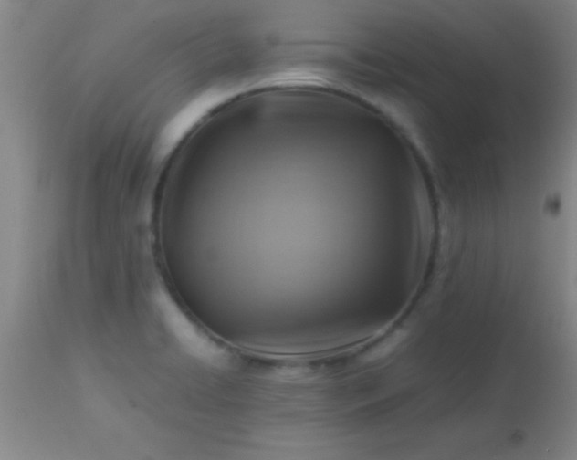 X0000113641422200910021905