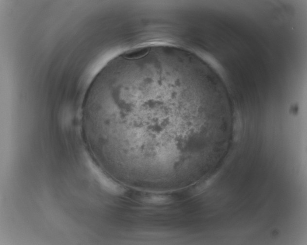 X0000113641423200910021905