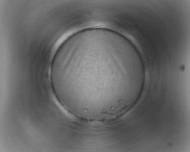 X0000113641424200910021905