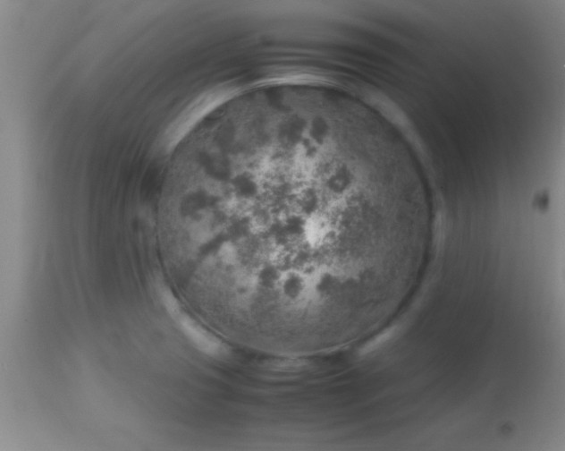 X0000113641425200910021905