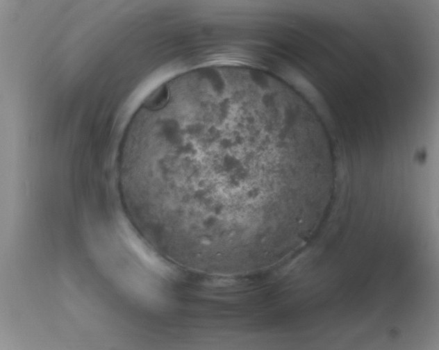 X0000113641427200910021905