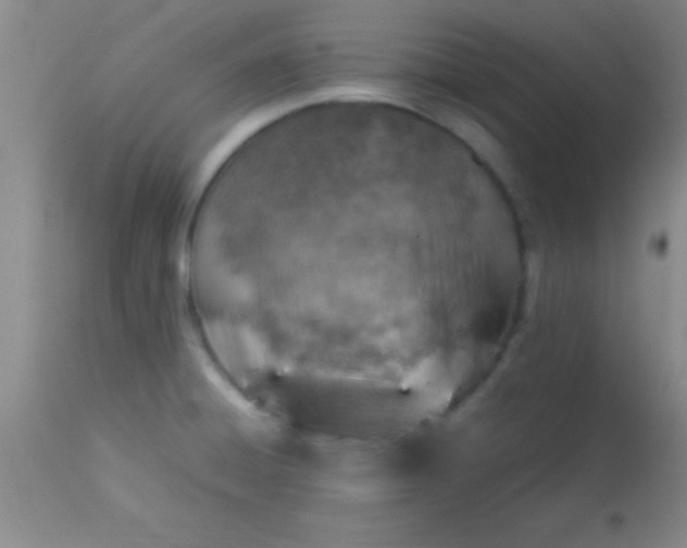 X0000113641428200910021905