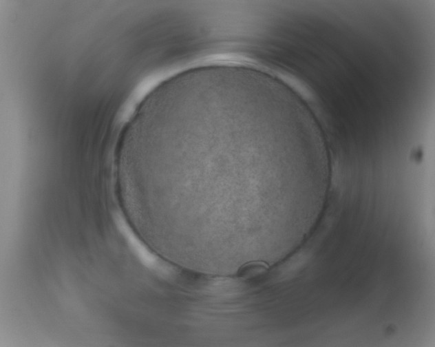 X0000113641430200910021906