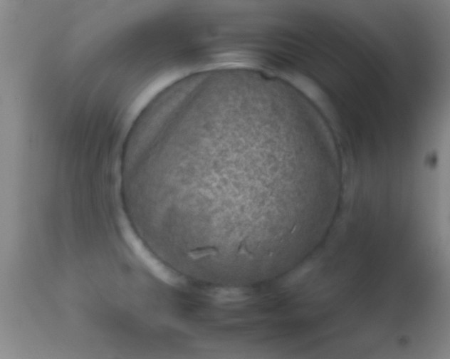 X0000113641431200910021906