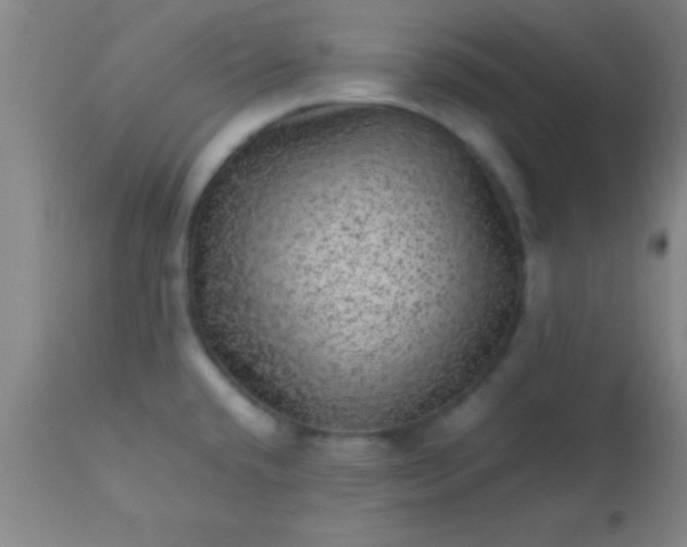 X0000113641432200910021906