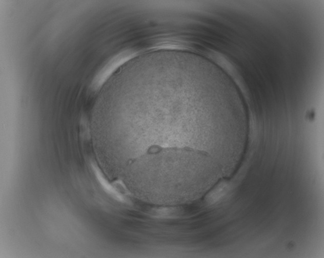 X0000113641433200910021906