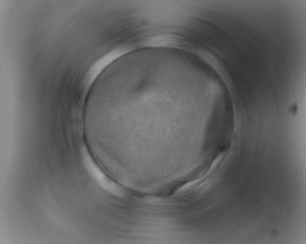 X0000113641434200910021906