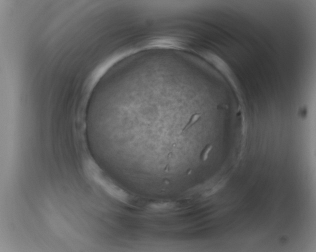 X0000113641435200910021906