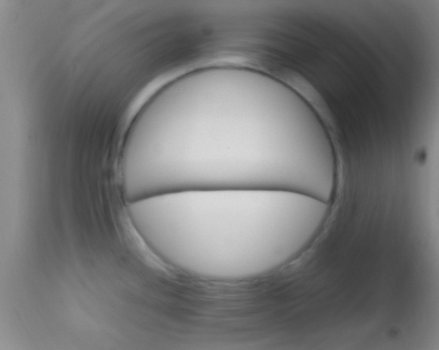 X0000113641436200910021906