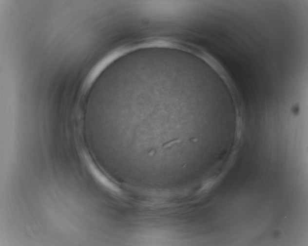 X0000113641438200910021906