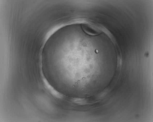 X0000113641439200910021906