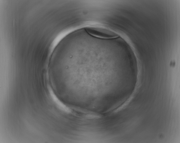 X0000113641440200910021906