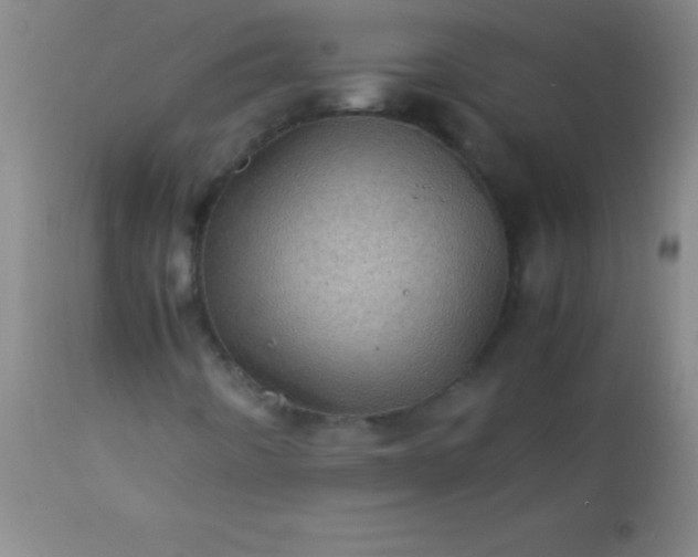 X0000113641442200910021905