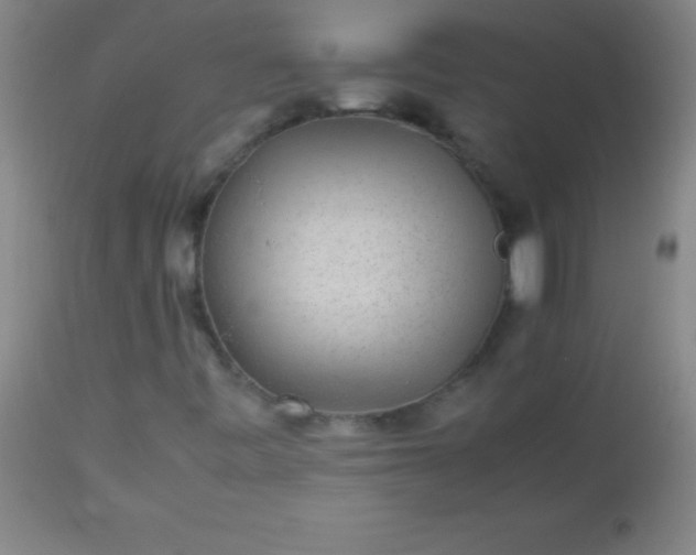 X0000113641443200910021905