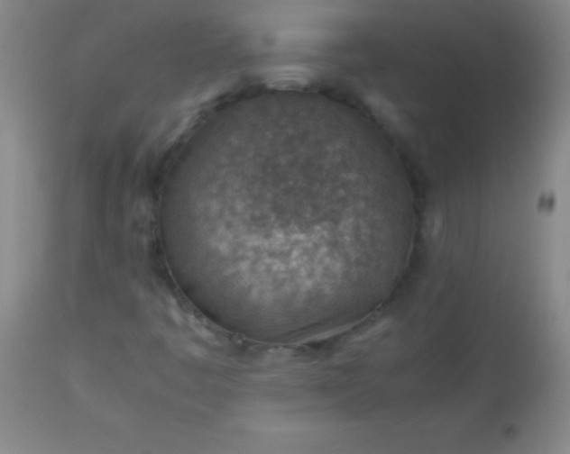 X0000113641445200910021905