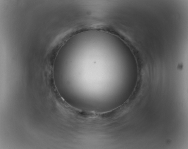 X0000113641447200910021905