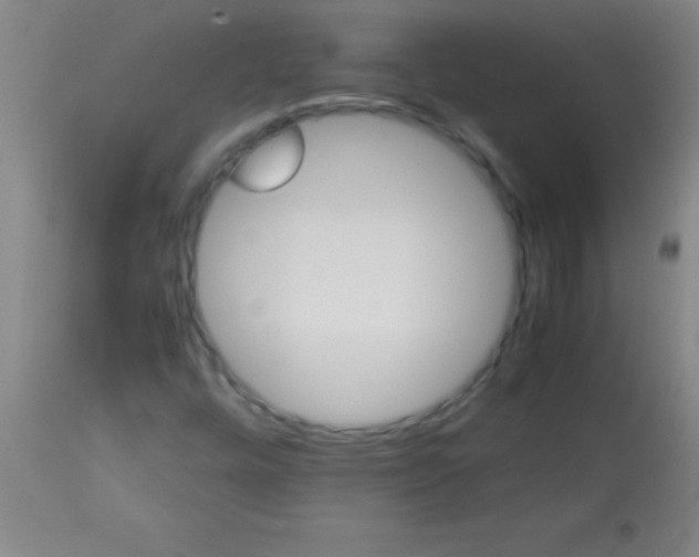 X0000113641448200910021905