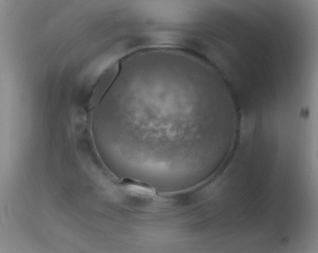 X0000113641449200910021905