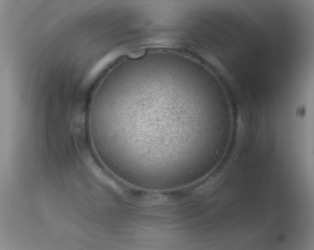 X0000113641450200910021905