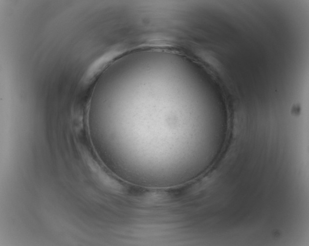 X0000113641451200910021905