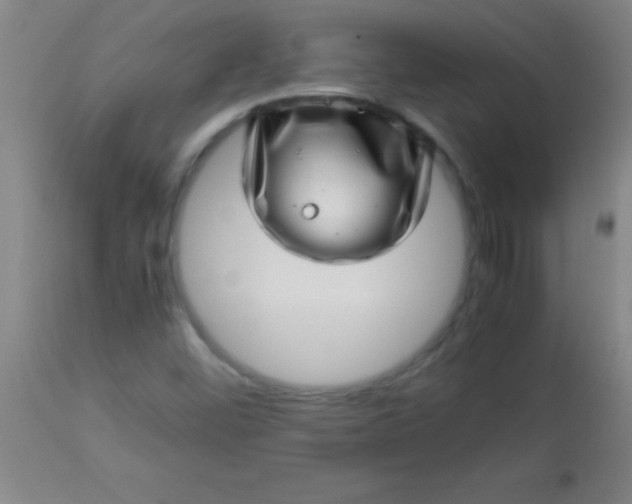 X0000113641452200910021905