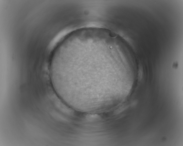 X0000113641454200910021905