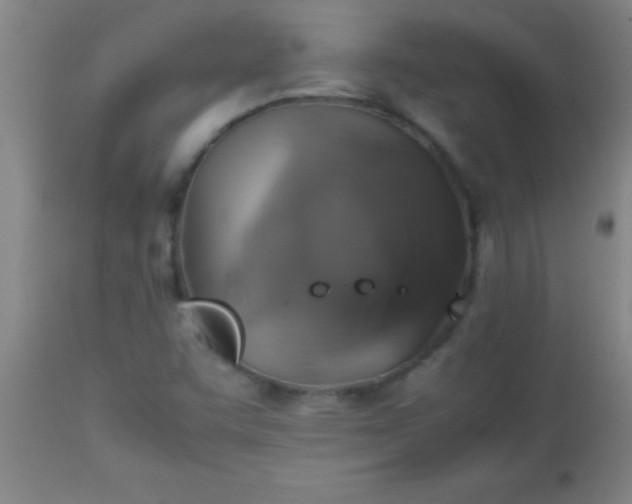 X0000113641455200910021905