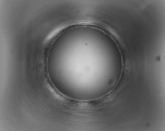 X0000113641456200910021905