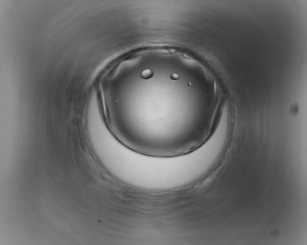 X0000113641457200910021905