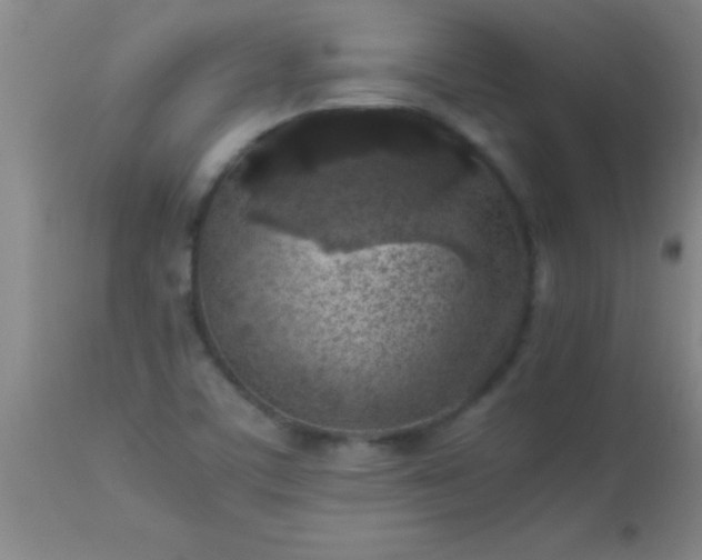 X0000113641459200910021905