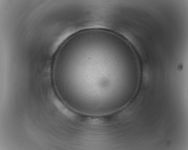 X0000113641460200910021905