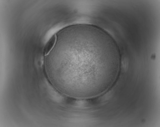 X0000113641461200910021905